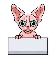 Cute Sphynx Cat Cartoon Holding Blank Sign