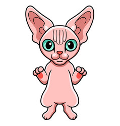 Cute Sphynx Cat Cartoon Standing