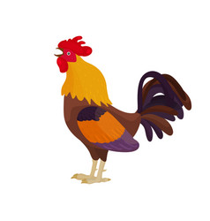 A Rooster In A Cartoon Style Sings Bright Rooster