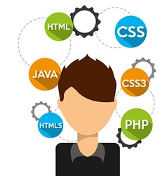 Software programmer Royalty Free Vector Image - VectorStock