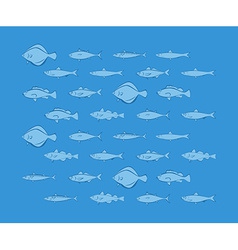 Background With Sea Fishes