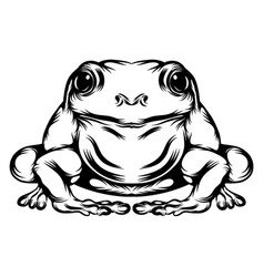 Frog With His Full Body