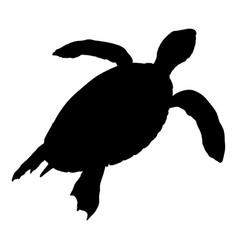 Silhouette Sea Turtle Eretmochelys Imbricata