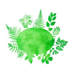 Watercolor fern leaves Royalty Free Vector Image