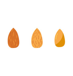 Almond Icon Flat Of Ic