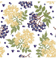 Elderberry And Elderflower Seamless Pattern Hand