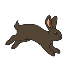 Rabbit Iconcolor Icon Isolated On White