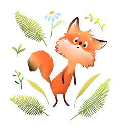 Forest Animal Fox And Nature Clipart Collection