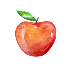 Watercolor Red Apple