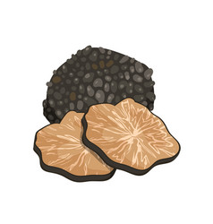 Black Truffle Mushroom Whole Forest Truffle Tuber