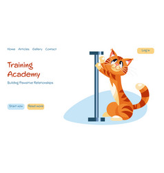 Training Academy Webpage