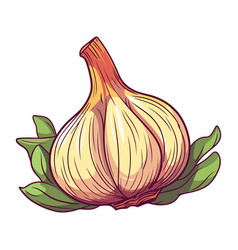 Fresh Garlic Plant A Healthy Seasoning Ingredient