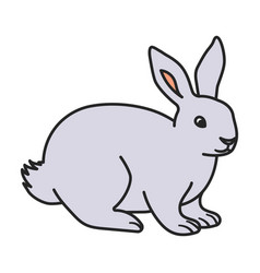 Rabbit Iconcolor Icon Isolated On White