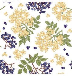 Elderberry And Elderflower Seamless Pattern Hand