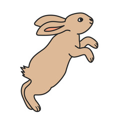 Rabbit Iconcolor Icon Isolated On White