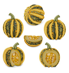 Set Of American Tonda Pumpkin