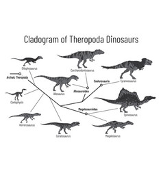 Cladogram Theropoda Dinosaurs Monochrome