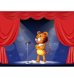 A Tiger In The Stage