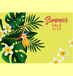 Summer Sale Clearance Offer And Discounts