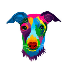 Abstract Jack Russell Terrier Head Portrait From