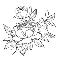 Minimalist Peony Line Drawing Small Tattoo