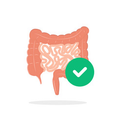 Cartoon Intestinal Tract Icon With Green Checkmark