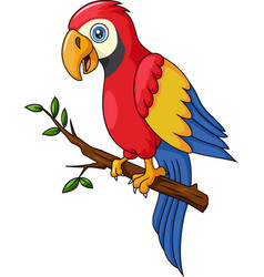 Cute Macaw Cartoon On Tree Branch