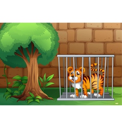 A Tiger Inside Steel Cage