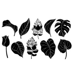 Silhouettes Of Tropical Jungle Plants