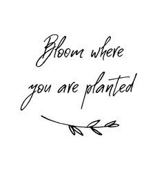 Bloom Where You Are Planted Inspirational