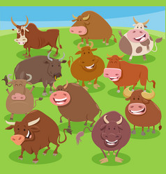 Cartoon Bulls Farm Animals Comic Characters Group