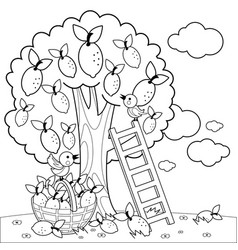 Lemon Tree Black And White Coloring Page