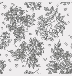 Elderberry And Elderflower Seamless Pattern Hand