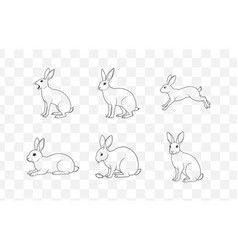 Print Ultimate Hare Line Art Set