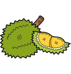 Hand Drawn Durian Fruit