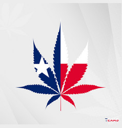 Flag Of Texas In Marijuana Leaf Shape The Concept