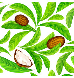 Shea Nuts With Leaves In Pattern