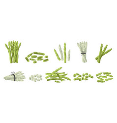 Whole And Cut Asparagus Organic Sticks