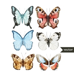 Butterly Set