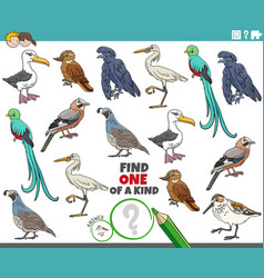 One Of A Kind Task With Cartoon Birds Animal