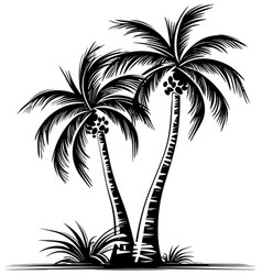 Palm Trees Black And White