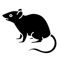 Rat