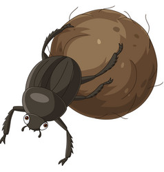 Cartoon Dung Beetle With A Big Ball Of Poop