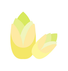 Endive