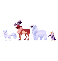 North Pole Animals Cartoon