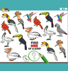 One Of A Kind Game With Cartoon Birds Animal