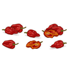 Set Of Bhut Jolokia Ghost Peppers Cartoon Style