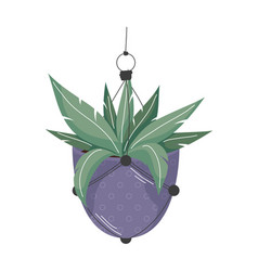 Purple Macrame Hanger