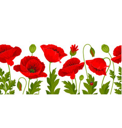 Red Poppy Seamless Border