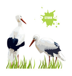 Watercolor Stork Birds Sitting In Grass